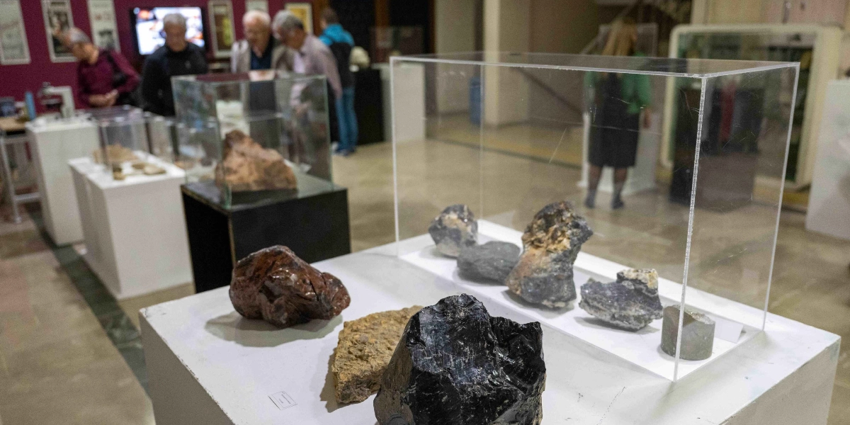 Bornova'daki bir sergi alanında, beyaz kaideler üzerinde şeffaf cam fanuslar içinde sergilenen çeşitli doğal taşlar ve mineraller. Ön plandaki kaidede koyu renkli, parlak ve pürüzlü taşlar bulunurken, arka planda sergiyi inceleyen ziyaretçiler yer alıyor.