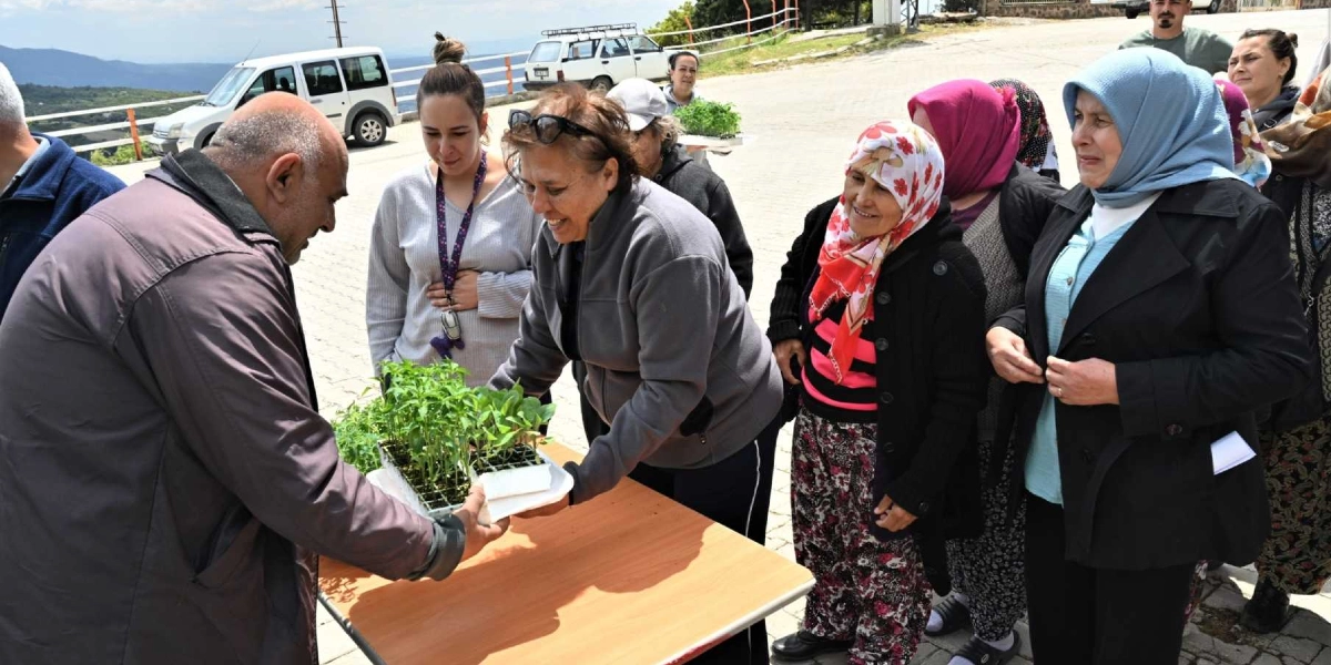Açık havada kurulan bir masanın başında, gri ceketli bir kadın, elindeki fide tepsisini bir üreticiye uzatıyor. Çevredeki kadınlar ve diğer katılımcılar bu fide dağıtımını izliyor. Arka planda park halindeki araçlar ve tepelik bir arazi görülüyor.