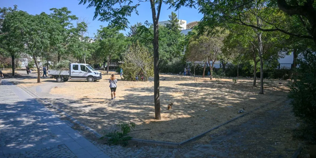 Ağaçlarla çevrili, kurumuş otlarla kaplı geniş bir park alanında Bornova Belediyesi'ne ait beyaz bir kamyonet park halinde duruyor. Kamyonetin kasası budanmış ağaç dalları ve yeşil atıklarla dolu. Alanda yürüyen bir kadın ve arka planda çalışan belediye personeli görülüyor. Zemin yer yer gölgeli, yer yer güneşli bir görünüme sahip.