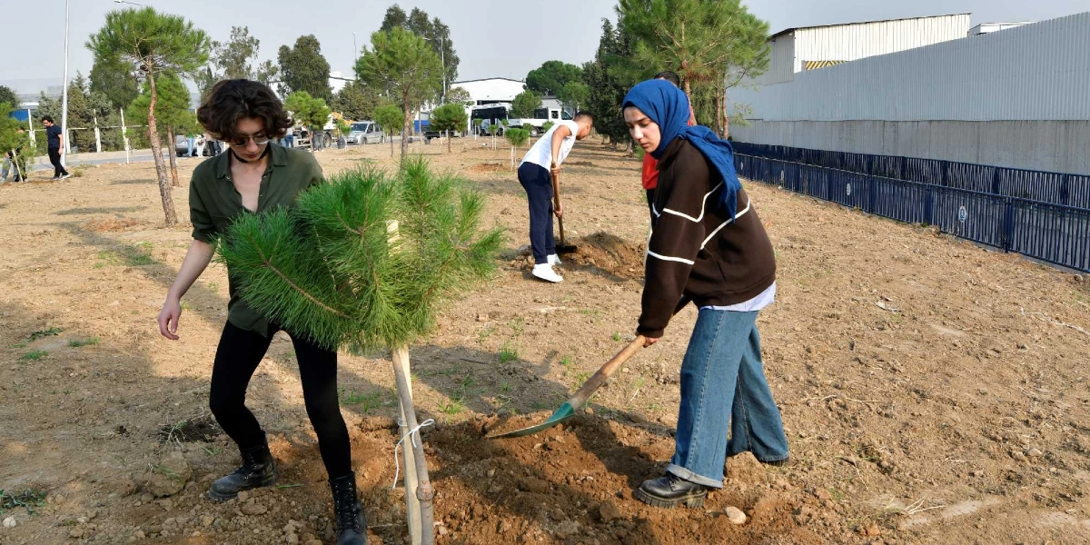 Açık bir alanda ağaç dikme etkinliğine katılan gençler, ellerinde küreklerle fidanların etrafındaki toprağı düzenliyor. Ön planda, haki renkli gömlekli ve siyah pantolonlu bir genç kadın diktiği fidanın yanında dururken, hemen yanında mavi başörtülü, kahverengi sweatshirt ve kot pantolon giyen bir başka genç kadın kürekle toprak kazıyor. Arka planda ise beyaz tişörtlü bir genç, başka bir fidanın toprağını hazırlıyor. Çevrede yeni dikilmiş küçük çam fidanları ve uzakta park halindeki araçlar görülüyor.