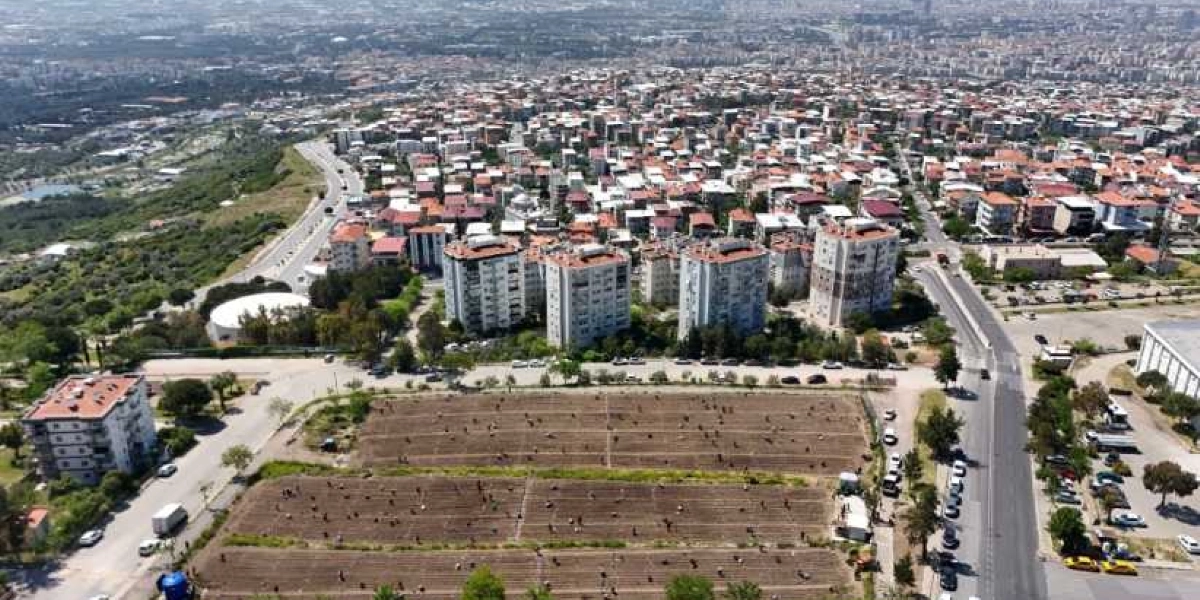 Bornova'da yerleşim alanlarının hemen yanında bulunan geniş bir tarım arazisinde, çok sayıda kişinin toprakla uğraştığı kent bostanı projesinden kuş bakışı görünüm. Arka planda yoğun bir şekilde sıralanmış apartmanlar ve yerleşim yerleri, ön planda ise düzenli sıralar halinde ekime hazırlanmış toprak parselleri yer alıyor.