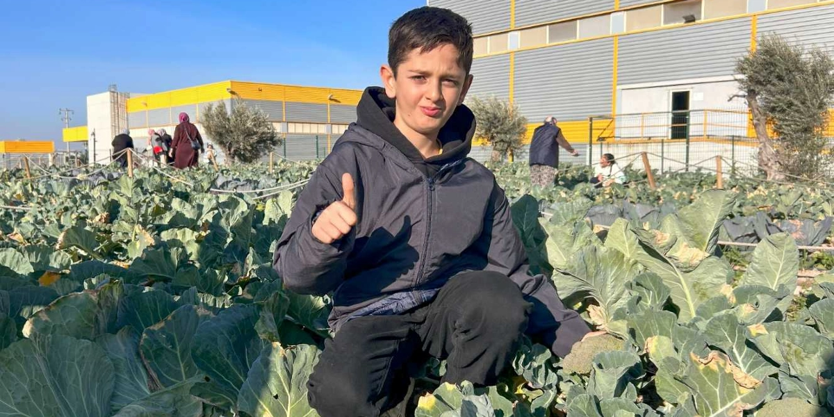 Siyah kapüşonlu mont giymiş bir erkek çocuk, lahana tarlasında çömelmiş vaziyette kameraya baş parmağıyla 