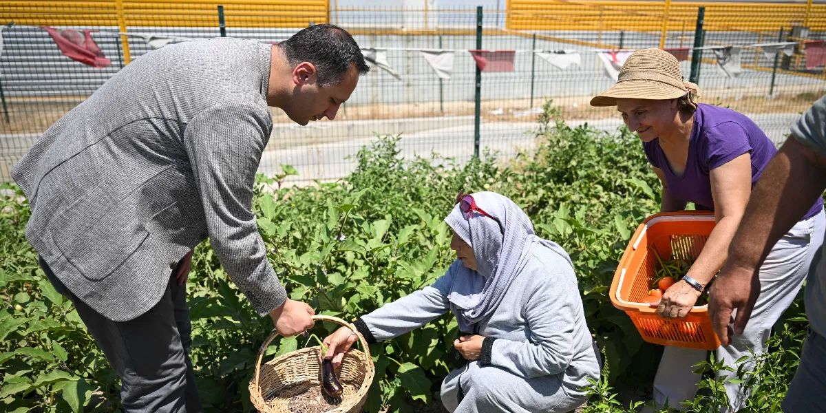 Gri ceketli bir erkek, hasır sepet tutan başörtülü bir kadının bahçeden topladığı patlıcanı sepete koymasına yardım ediyor. Yanlarında hasır şapkalı ve mor tişörtlü bir kadın ise elinde içinde domatesler bulunan turuncu bir plastik sepetle onlara eşlik ediyor. Arka planda tel çitlerle çevrili bir sebze bahçesi görülüyor.