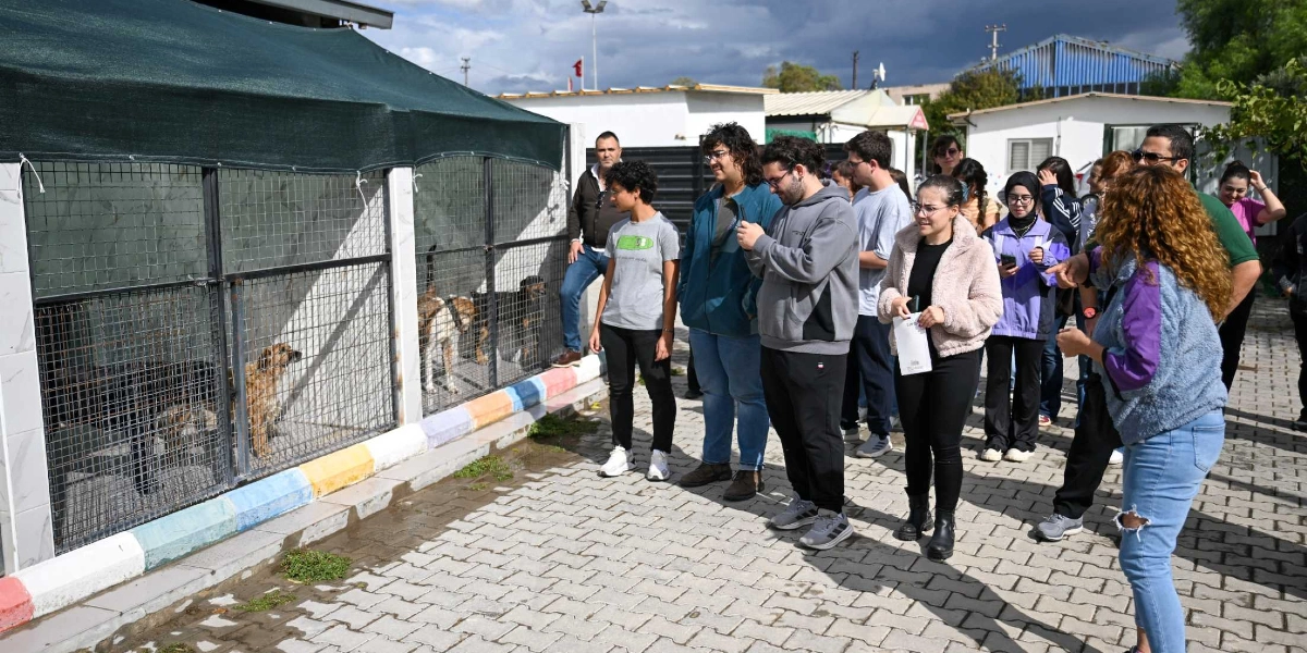 Açık havada, tel örgülerle çevrili barınak bölmelerinin önünde duran bir grup genç, içerideki köpekleri inceliyor. Parke taşlı bir alanda toplanan gençler, barınak görevlisi olduğu anlaşılan bir kişinin yönlendirmesiyle köpeklerin bulunduğu kafeslere doğru bakıyor. Bazı gençler ellerindeki telefonlarla görüntü alırken, bazıları ise dikkatle köpekleri izliyor. Arka planda tek katlı yapılar ve ağaçlar yer alıyor.