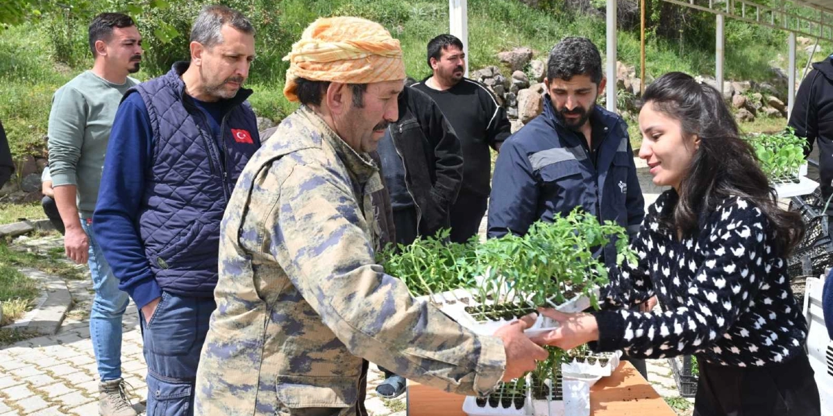 Açık havada, Bornova Belediyesi yetkilisi olduğu anlaşılan genç bir kadın, bir üreticiye fide tepsisi uzatıyor. Üretici, başında sarı bir yemeni ile kamuflaj desenli bir ceket giyiyor. Çevredeki diğer erkekler, fide dağıtımını izliyor. Arka planda yeşil bir alan ve taş duvar bulunuyor.