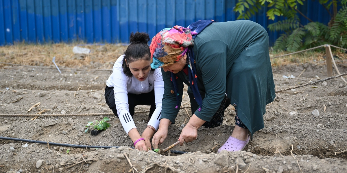 Toprak bir alanda yan yana çömelmiş iki kadın, küçük fideleri toprağa dikiyor. Beyaz spor kıyafetli genç kadın ile başında renkli bir eşarp ve üzerinde yeşil bir tunik bulunan orta yaşlı kadın, birlikte çalışarak fideleri yerleştiriyor. Arka planda mavi bir çit ve yeşil bitkiler görülüyor.