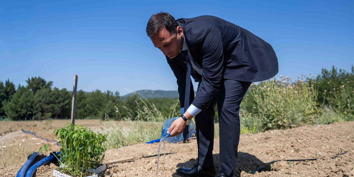 Koyu renkli takım elbiseli, kravatlı bir erkek, açık havada, toprak bir alanda plastik bir şişeyle yeni dikilmiş yeşil fideye su veriyor. Arka planda ağaçlar ve açık mavi bir gökyüzü görülüyor.