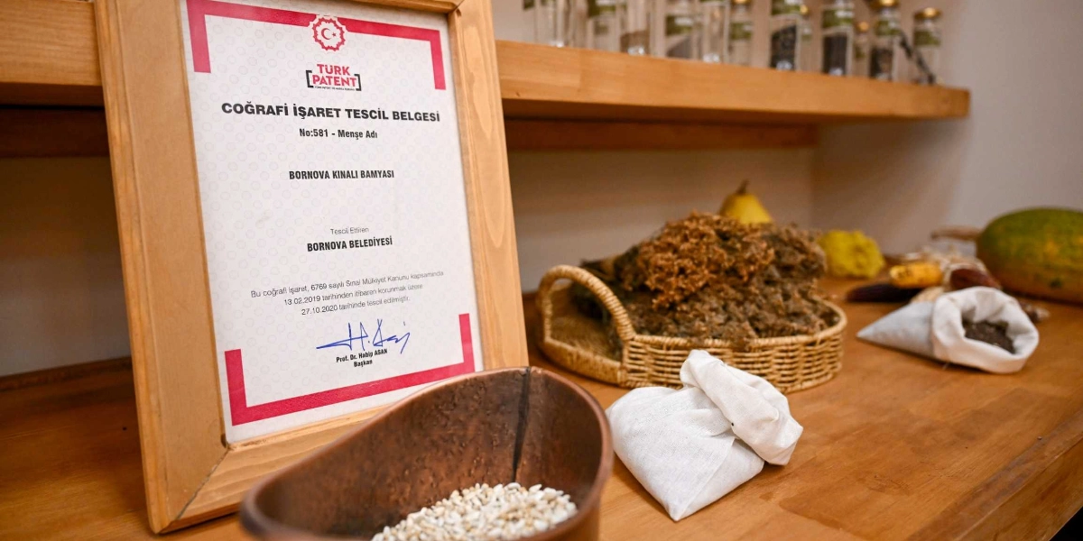 Ahşap bir raf üzerinde, Bornova Kınalı Bamyası için Türk Patent ve Marka Kurumu tarafından verilmiş Coğrafi İşaret Tescil Belgesi yer alıyor. Belgenin yanında, içinde tohumlar bulunan küçük bez torbalar, hasır bir sepet içerisinde kurutulmuş bitkisel ürünler ve arka planda cam kavanozlar bulunuyor.