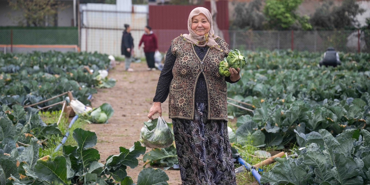 Başörtülü, desenli yelek ve uzun etek giyen orta yaşlı bir kadın, Bornova'daki kent bostanında hasat ettiği brokolileri tutarak gülümsüyor. Kadının bir elinde taze bir brokoli başı, diğer elinde ise içinde sebzeler bulunan şeffaf bir poşet yer alıyor. Arka planda ise geniş bir sebze tarlası ve bostanda çalışan diğer insanlar görülüyor.