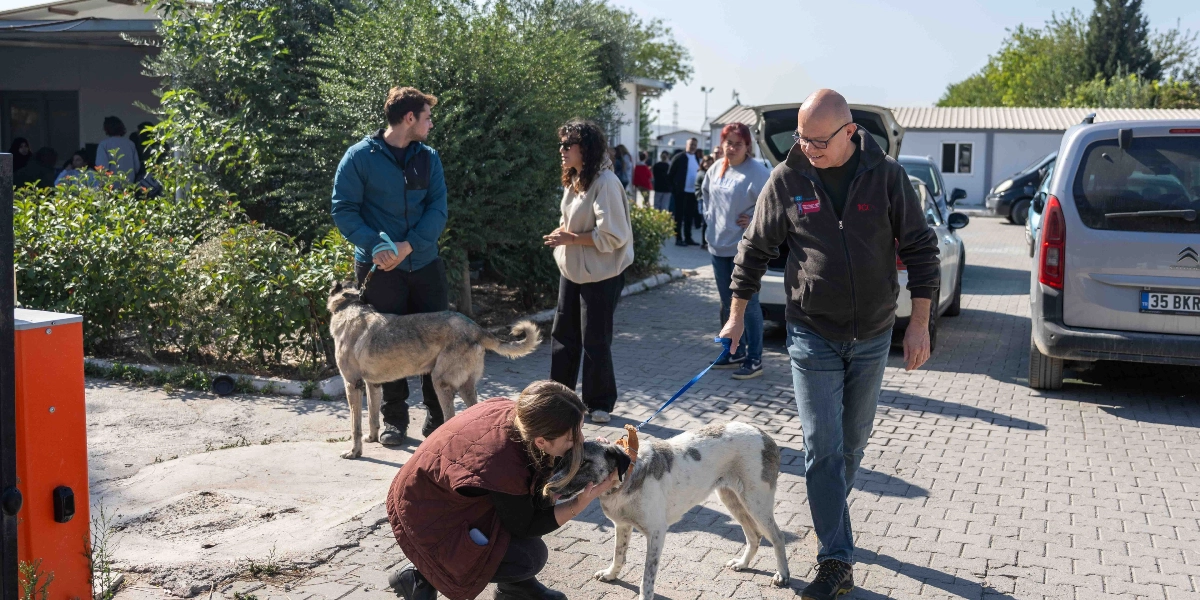 Açık havada, parke taşlı bir alanda insanlar ve köpekler bir arada bulunuyor. Ön planda, kahverengi yelekli bir kadın çömelmiş, beyaz üzerine gri benekli bir köpeği severken, gözlüklü ve koyu renk ceketli bir adam aynı köpeğin tasmasını tutarak yürüyor. Arka planda ise mavi ceketli bir genç adam, tasmasıyla başka bir köpeği tutuyor; yanında ise güneş gözlüklü bir kadın duruyor. Çevrede başka insanlar ve park halindeki araçlar görülüyor.