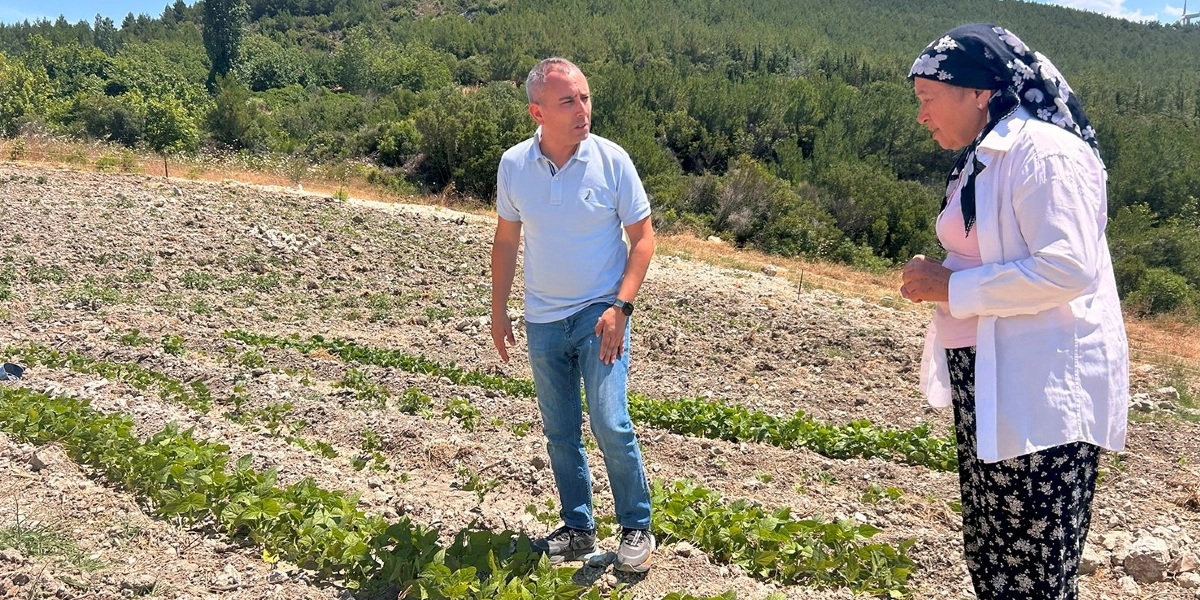 Açık renkli polo yaka tişört ve kot pantolon giyen bir erkek, tarlada çiçekli başörtüsü ve beyaz gömlekli bir kadınla yan yana durarak yeni ekilmiş yeşil bitkileri inceliyor. Arka planda ağaçlarla kaplı bir yamaç ve güneşli bir gökyüzü görülüyor.