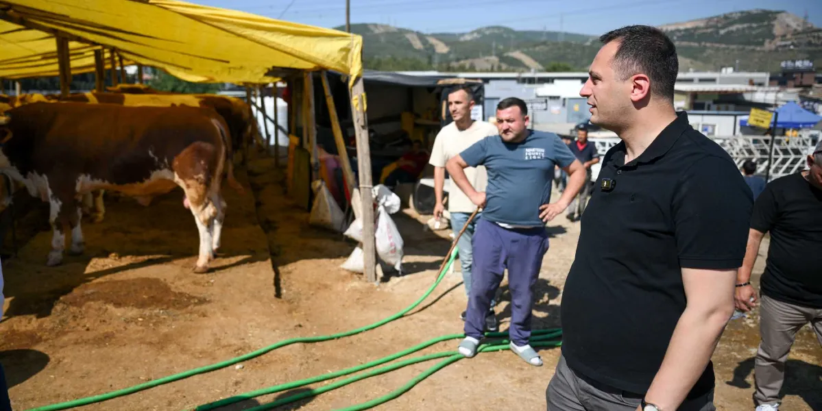 Sarı brandalı bir çadırın altında duran kurbanlık büyükbaş hayvanların bulunduğu alanda, siyah polo yaka tişörtlü bir erkek yetkili incelemelerde bulunuyor. Yanında duran diğer erkekler ve yerdeki yeşil sulama hortumlarıyla birlikte, kurban satış alanındaki hazırlıklar denetleniyor.