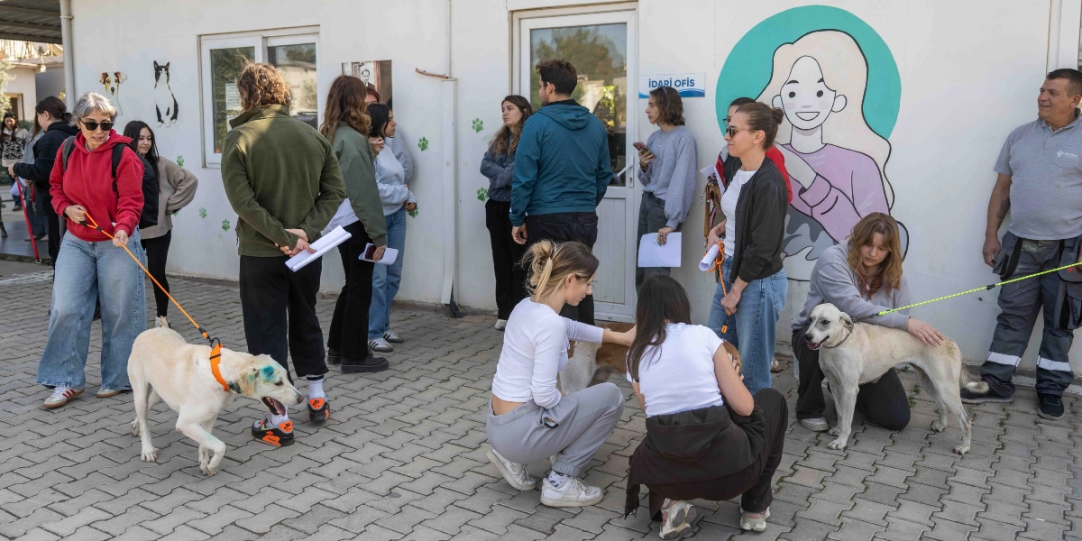 Bir hayvan barınağının idari ofis binası önünde, sahiplenilmeyi bekleyen köpeklerle ilgilenen ve evrak işlerini yürüten genç bir grup insan. Sol tarafta kırmızı sweatshirtlü bir kadın, tasmalı açık renkli bir köpeği gezdiriyor. Ortada iki genç kadın yere çömelmiş, başka bir köpeği severken, sağ tarafta gri sweatshirtlü bir kadın da tasmalı beyaz bir köpeği seviyor. Arka planda duvar üzerinde bir kadın illüstrasyonu ve 