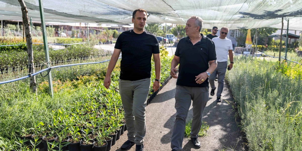 Güneşten koruyucu gölgeliklerin altında, yan yana yürüyen iki erkek, arkalarında ise onları takip eden iki kişi daha bulunuyor. Ön plandaki siyah tişörtlü ve gri pantolonlu iki kişi sohbet ederek ilerlerken, arka planda beyaz tişörtlü ve güneş gözlüklü bir kişi ile daha geride başka bir erkek daha yer alıyor. Etraf, siyah saksılar içerisinde düzenli bir şekilde dizilmiş çok sayıda yeşil bitki ve fidanla çevrili bir fidanlığı andırıyor.