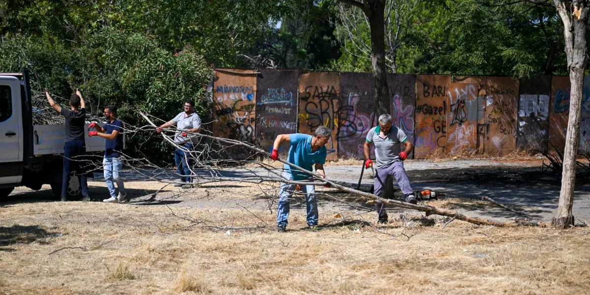 Bornova Belediyesi çalışanları, grafiti yazılarıyla kaplı metal bir duvarın önündeki kuru otluk alanda, kesilen ağaç dallarını toplayarak bir kamyonete yüklüyor.