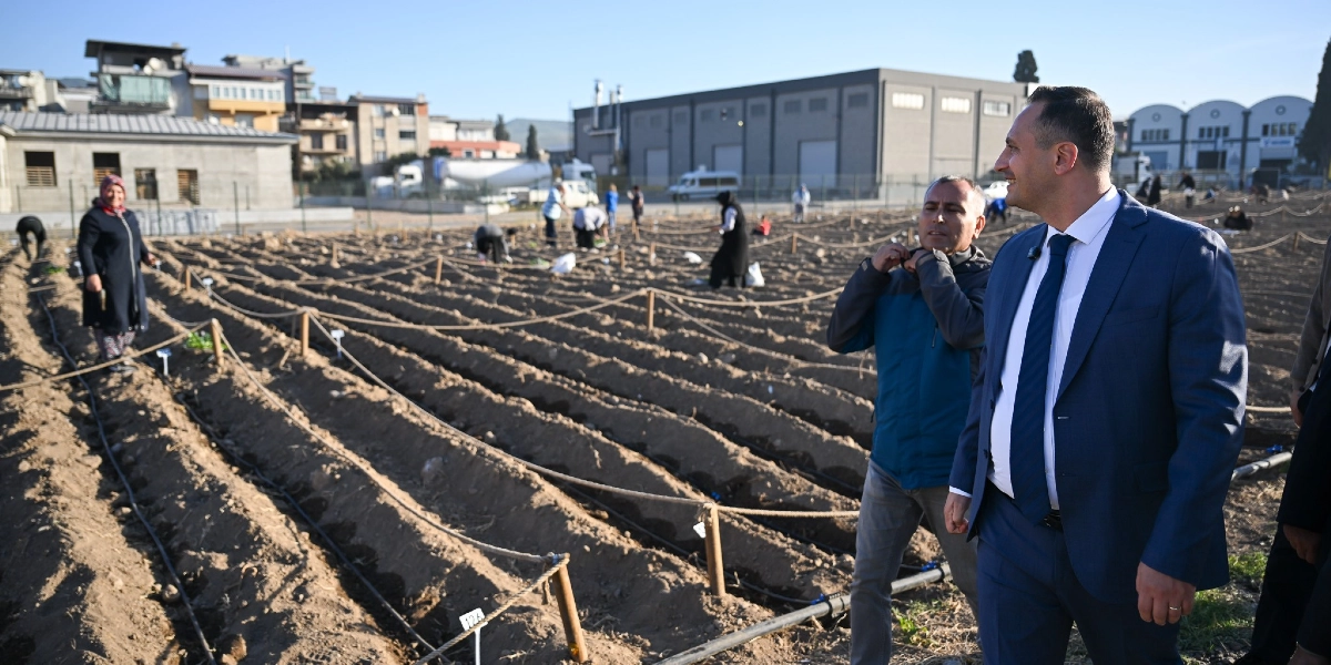 Açık havada, iplerle bölümlere ayrılmış tarım arazisinde çalışan insanlar ve ön planda onlara eşlik eden takım elbiseli bir yönetici ile yanında duran bir kişi yer alıyor. Arka planda ise sanayi yapıları ve yerleşim yerleri görülüyor.