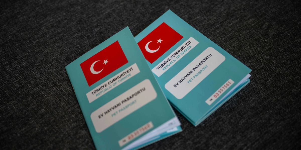 Koyu gri dokulu bir zemin üzerinde yan yana duran, üzerinde Türkiye Cumhuriyeti bayrağı, 