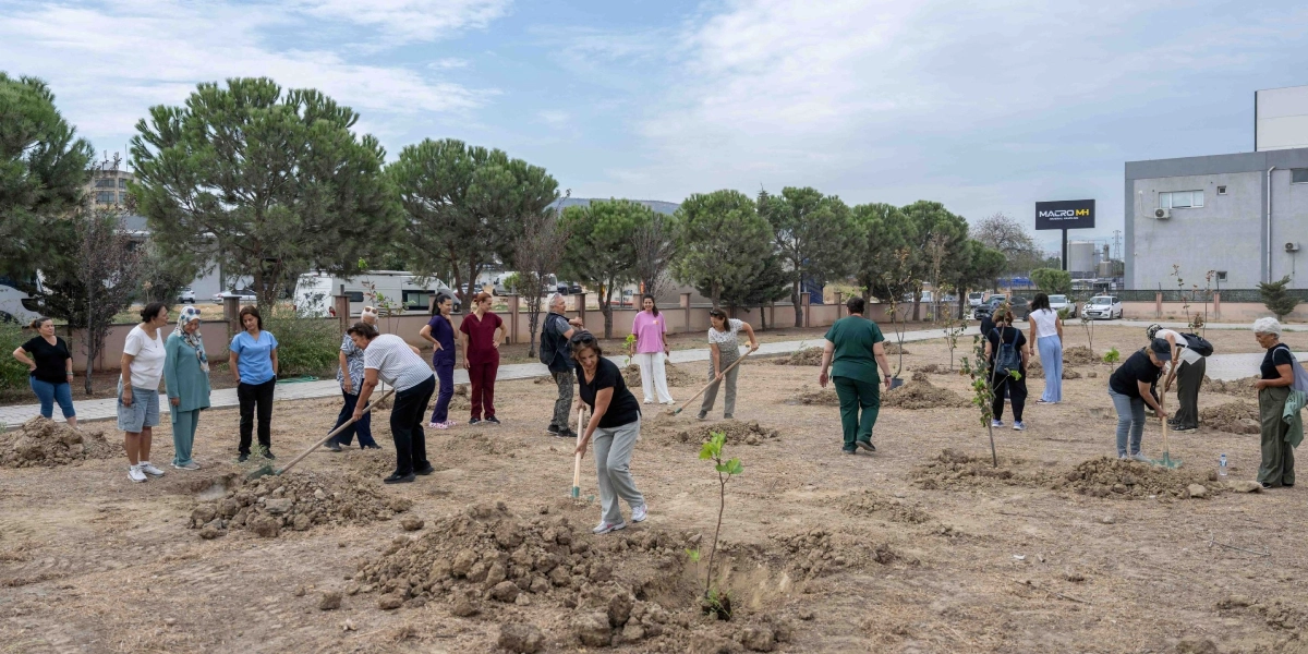 Açık bir alanda, toprak zeminde fidan dikimi yapan bir grup kadın. Çeşitli yaşlardan ve farklı kıyafetler içindeki kadınlar, ellerindeki küreklerle toprağı kazıyor, fidanları yerleştiriyor veya çevrelerinde durarak çalışmaya eşlik ediyor. Arka planda ağaçlar, bir duvar, park halindeki araçlar ve uzakta bir iş yeri tabelası görülüyor. Gökyüzü hafif bulutlu ve gün ışığı hakim.