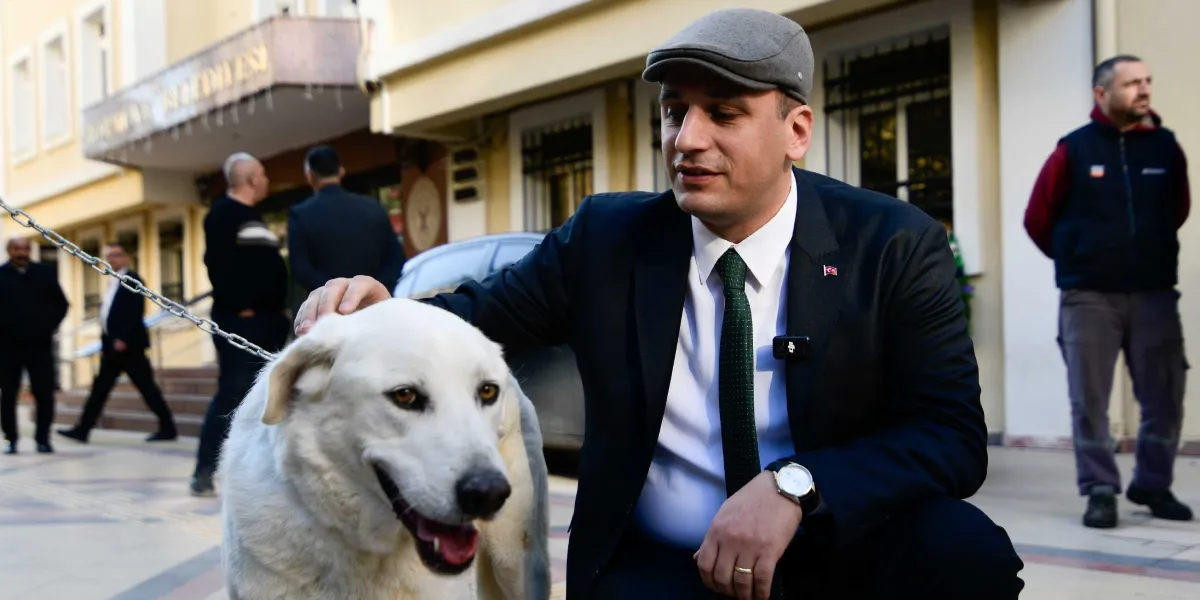 Koyu renk takım elbiseli, beyaz gömlekli, yeşil kravatlı ve gri kasketli bir adam, Bornova Belediyesi binasının önünde diz çökmüş, tasmalı beyaz bir köpeği severken gülümsüyor. Arka planda belediye binasına giren veya bekleyen diğer insanlar görülüyor.