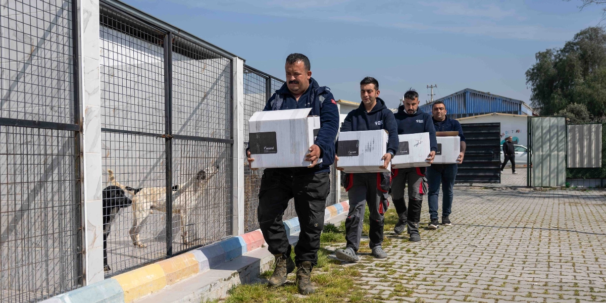 Bornova Belediyesi personeli oldukları anlaşılan dört erkek, ellerinde taşıdıkları beyaz yardım kolileriyle bir hayvan barınağının önünde yürürken görülüyor. Kafeslerin arkasında duran köpekler, görevlileri dikkatle izliyor.
