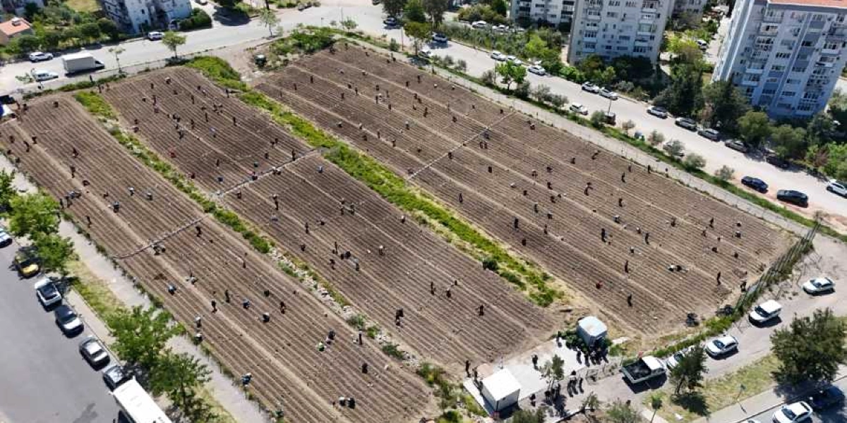 Şehir merkezinde, etrafı yollar ve apartmanlarla çevrili geniş bir alanda oluşturulmuş kent bostanı. Toprağı sürülmüş ve sıralar halinde düzenlenmiş tarlada, çok sayıda kişi tarımsal faaliyetlerde bulunuyor. Bostanın giriş kısmında küçük yapılar ve bir grup insan yer alırken, çevredeki yollarda park halindeki araçlar görülüyor.