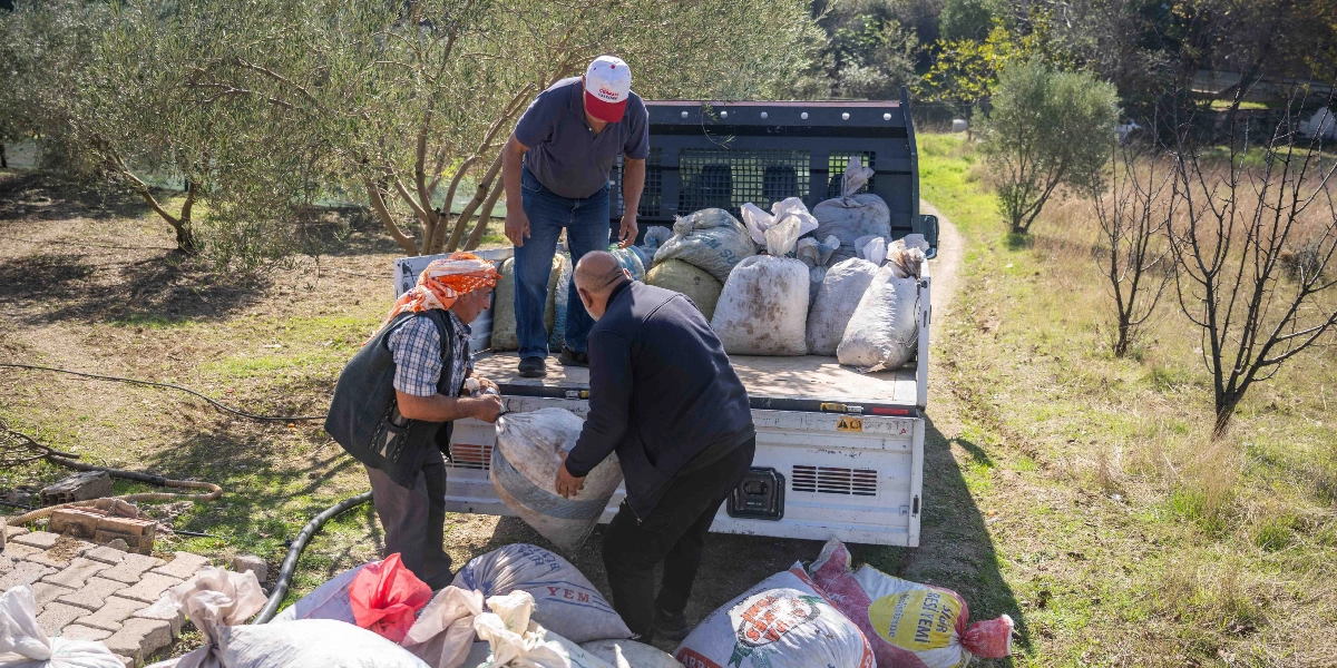 Zeytin ağaçlarıyla çevrili bir arazide, beyaz bir kamyonetin kasasına çuvallar yükleyen üç erkek. Kamyonetin kasasında dolu çuvallar bulunurken, biri başında turuncu bir eşarp bağlı olan iki kişi, yeni bir çuvalı kamyonete yerleştirmeye çalışıyor. Kamyonetin üzerinde duran üçüncü kişi ise çuvalları düzenliyor. Yerde de üzerinde 