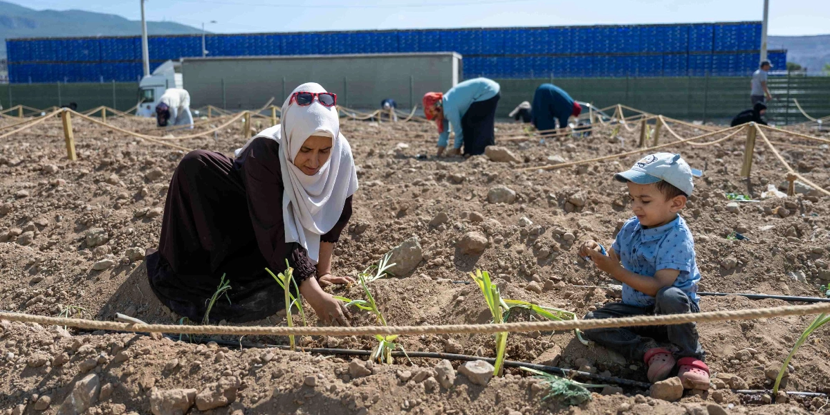 Açık havada, iplerle parsellere ayrılmış toprak bir alanda, beyaz başörtülü bir kadın ve yanındaki küçük erkek çocuğu bitki dikimi yapıyor. Kadın toprağı elleriyle düzeltirken, çocuk yanında oturmuş toprağı inceliyor. Arka planda ise bahçeyle ilgilenen başka insanlar ve mavi plastik kasalarla dolu bir depo alanı görülüyor.