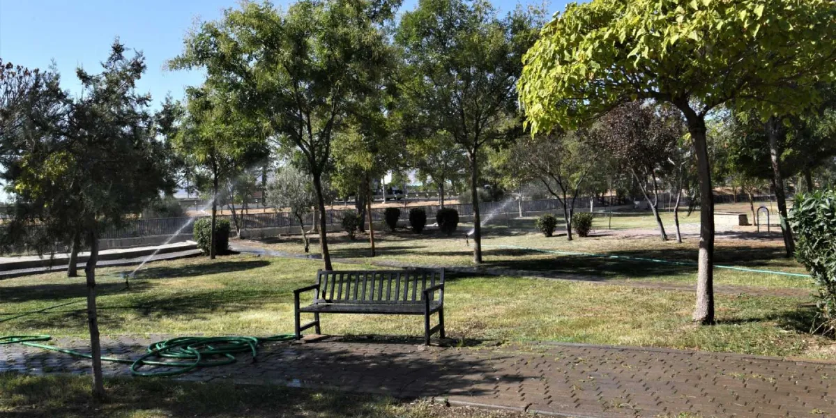 Güneşli bir günde, ağaçlarla çevrili yeşil bir park alanında, çimlerin üzerine yerleştirilmiş siyah bir bank ve sulama sisteminden fışkıran sularla ıslanan çimler görülüyor. Ön planda yerde kıvrılmış yeşil bir bahçe hortumu bulunuyor.