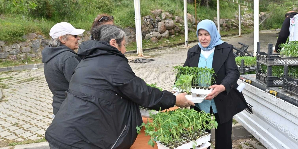 Açık havada, parke taşlı bir alanda, mavi başörtülü ve siyah ceketli bir kadın, bir üreticiye içinde yeşil fideler bulunan plastik bir viyolü uzatıyor. Üretici konumundaki siyah ceketli kadın fideleri teslim alırken, yanında beyaz şapkalı başka bir kişi daha bekliyor. Arka planda taş duvarlı bir yamaç ve bir kamyonetin kasasında dizili diğer fide kasaları görülüyor.