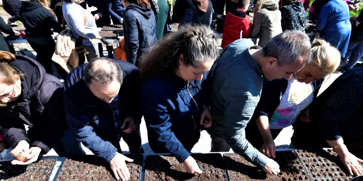 Açık havada, uzun bir masanın etrafında toplanmış bir grup kadın ve erkek, toprak dolu viyollerin içine tohum ekimi yapıyor. Katılımcılar dikkatle eğilmiş, elleriyle toprakla uğraşırken, önlerindeki siyah plastik bölmelere tohumları yerleştiriyorlar. Gün ışığında çekilen karede, insanların odaklanmış bir şekilde tarımsal üretim faaliyetine katıldıkları görülüyor.