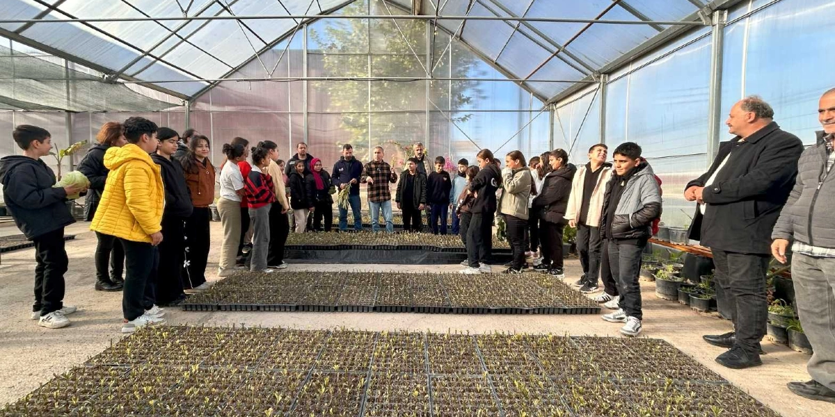 Modern bir seranın içinde, bir grup öğrenci ve onlara eşlik eden yetişkinler, toprak dolu fide viyollerinin önünde durarak bir yetkilinin verdiği bilgileri dinliyor. Öğrenciler günlük kıyafetleriyle, seranın ortasında yan yana dizilmiş küçük bitki fidelerini inceliyor. Sağ tarafta ise iki yetişkin erkek, öğrencileri gözlemleyerek sohbet ediyor. Seranın şeffaf çatısından gün ışığı içeri süzülüyor.