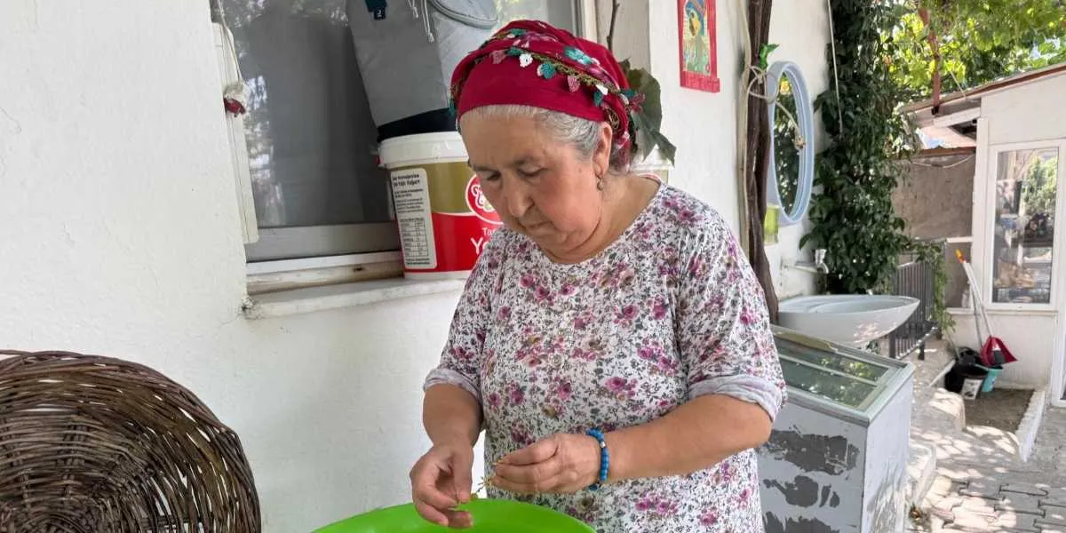 Başında kırmızı oyalı bir yazma bulunan, çiçek desenli bluz giymiş orta yaşlı bir kadın, dış mekanda yeşil bir leğenin başında reçel yapımı için meyve ayıklıyor.