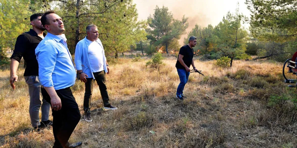 Ormanlık alanda çıkan yangını inceleyen dört erkek, arka planda yükselen dumanlara ve alevlere doğru bakıyor. Ön planda açık mavi gömlekli bir kişi, yanında beyaz tişört ve açık mavi gömlek giyen bir adam ile siyah tişörtlü bir başka kişi duruyor. Sağ tarafta ise elinde bir dal parçası tutan siyah tişörtlü ve kot pantolonlu bir kişi yangın bölgesine doğru ilerliyor.