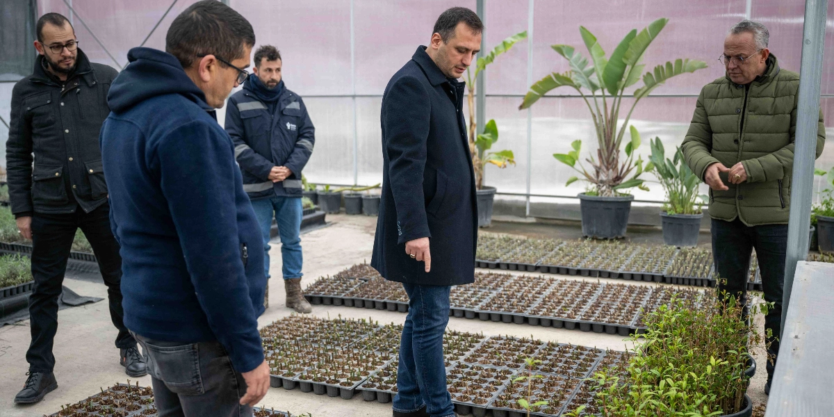 Modern bir serada, Bornova Belediyesi yetkilileri olduğu anlaşılan beş kişilik bir grup, zemin üzerine dizilmiş çok sayıda fide tepsisini inceliyor. Koyu renkli kaban giymiş bir yetkili, parmağıyla fideleri işaret ederek açıklamalarda bulunurken, diğerleri onu dikkatle dinliyor. Arka planda büyük saksılarda yetişmiş süs bitkileri ve şeffaf sera örtüleri görülüyor.