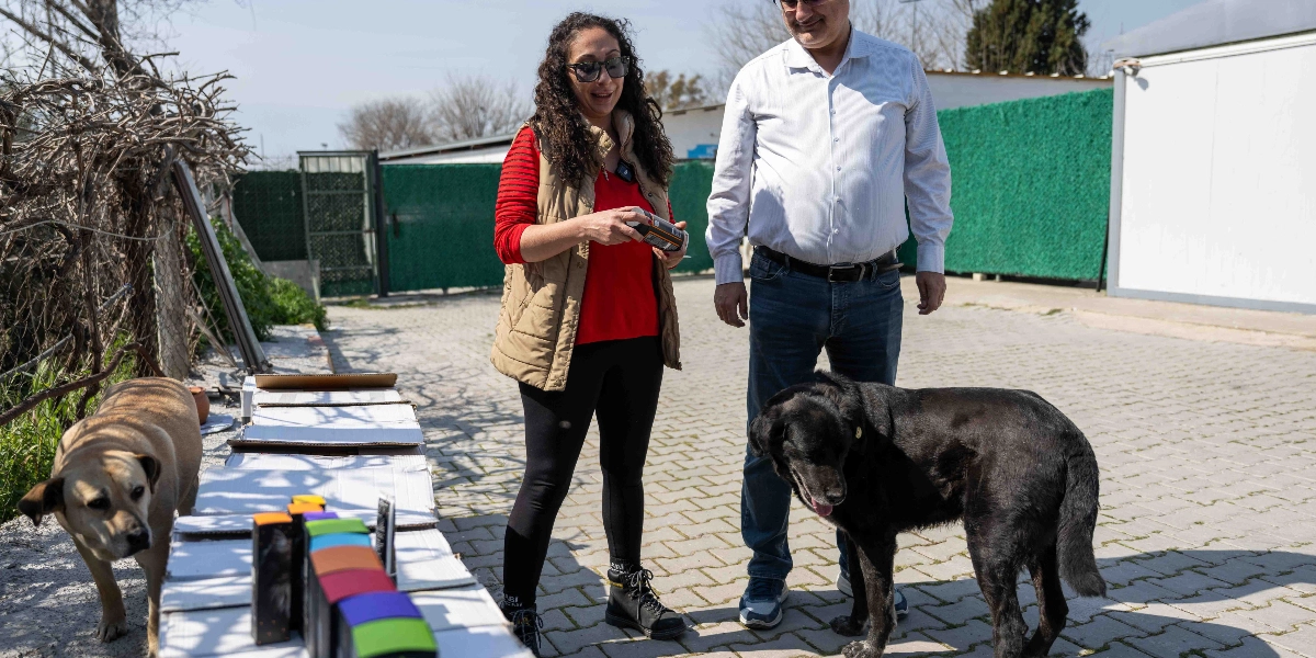 Açık havada, parke taşlı bir alanda duran bir kadın ve bir erkek, yanlarındaki iki köpekle ilgileniyor. Kadın, kırmızı bir bluz ve bej rengi bir yelek giymiş, elinde bir mama kutusu tutuyor. Yanındaki erkek ise açık renkli bir gömlek ve kot pantolon giymiş durumda. Önlerinde dizili olan kutuların yanında, biri açık kahverengi, diğeri siyah renkli iki köpek bulunuyor. Arka planda yeşil bir çit ve prefabrik bir yapı yer alıyor.