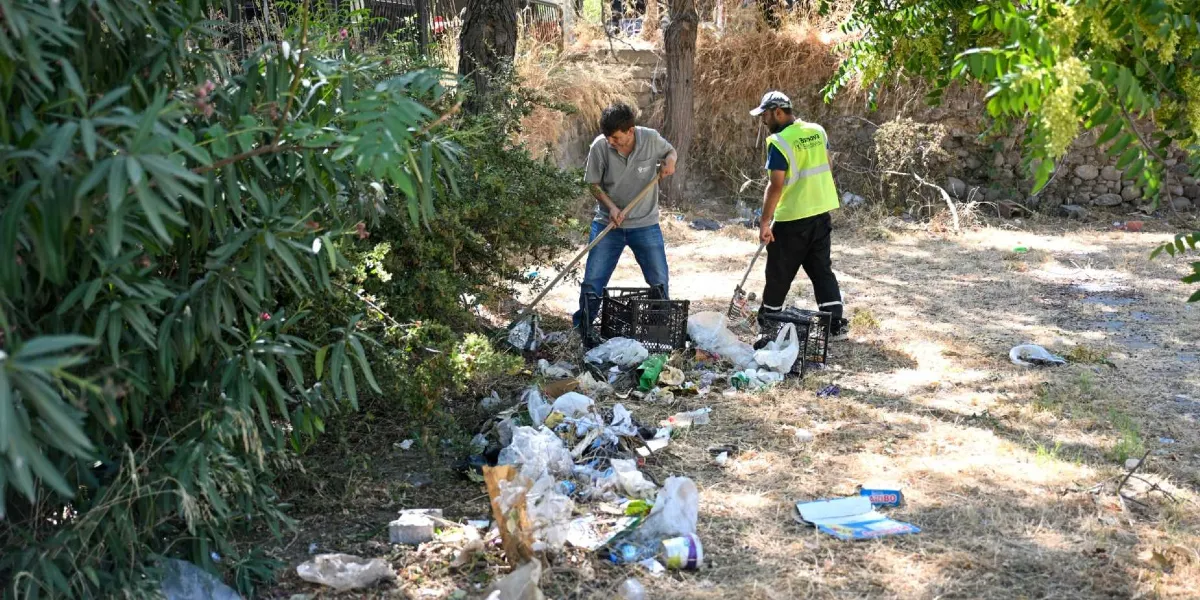 Bornova Belediyesi personeli, ağaçlık ve otluk bir alanda biriken çöpleri temizliyor. Gri tişörtlü bir çalışan tırmıkla çöpleri toplarken, üzerinde Bornova Belediyesi logosu bulunan sarı reflektörlü yelek giyen diğer bir çalışan ise plastik kasalara çöp yerleştiriyor.