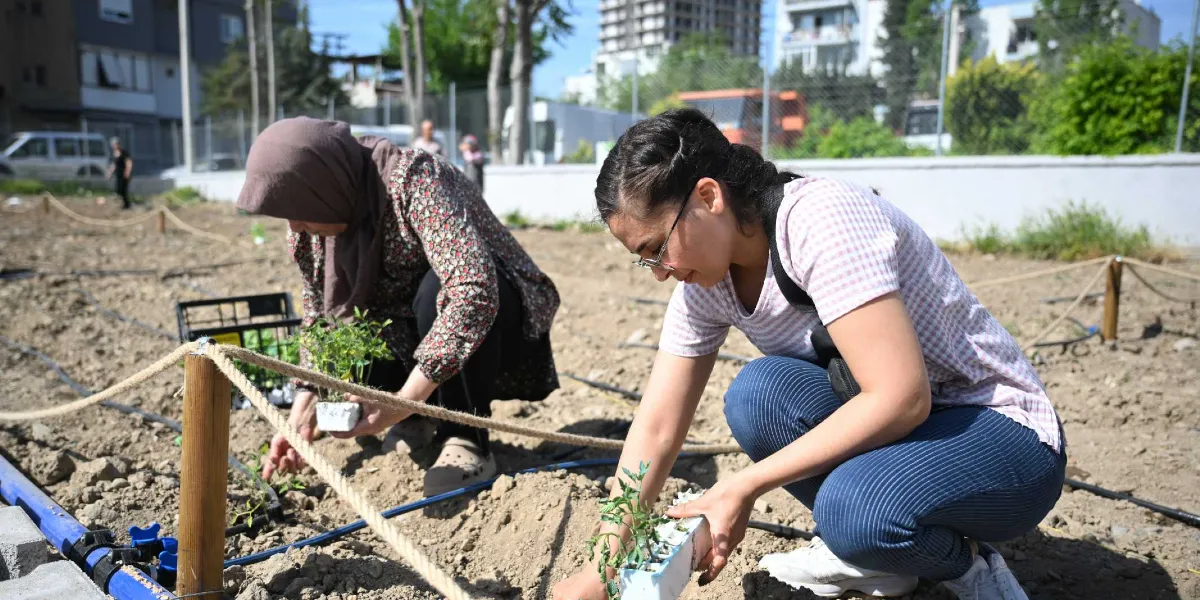 Açık havada, toprak bir alanda yan yana çömelmiş iki kadın, ellerindeki fide kaplarından çıkardıkları küçük bitkileri toprağa dikiyor. Sol taraftaki kadın başörtülü, çiçekli bir bluz ve siyah pantolon giyiyor; sağ taraftaki kadın ise gözlüklü, çizgili bir tişört ve koyu renkli pantolonla çalışıyor. Arka planda Bornova'ya ait şehir dokusu, binalar ve ağaçlar seçiliyor.