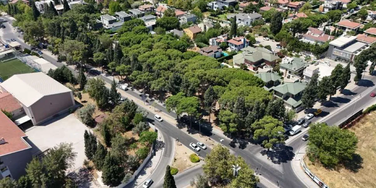 Bornova'da ağaçlık bir alanın ve çevresindeki yerleşim yerlerinin havadan çekilmiş görünümü. Geniş bir çamlık alanın ortasından geçen asfalt yol üzerinde az sayıda otomobil seyir halindeyken, çevredeki müstakil evler ve ağaçlar güneşli bir günde görülüyor.