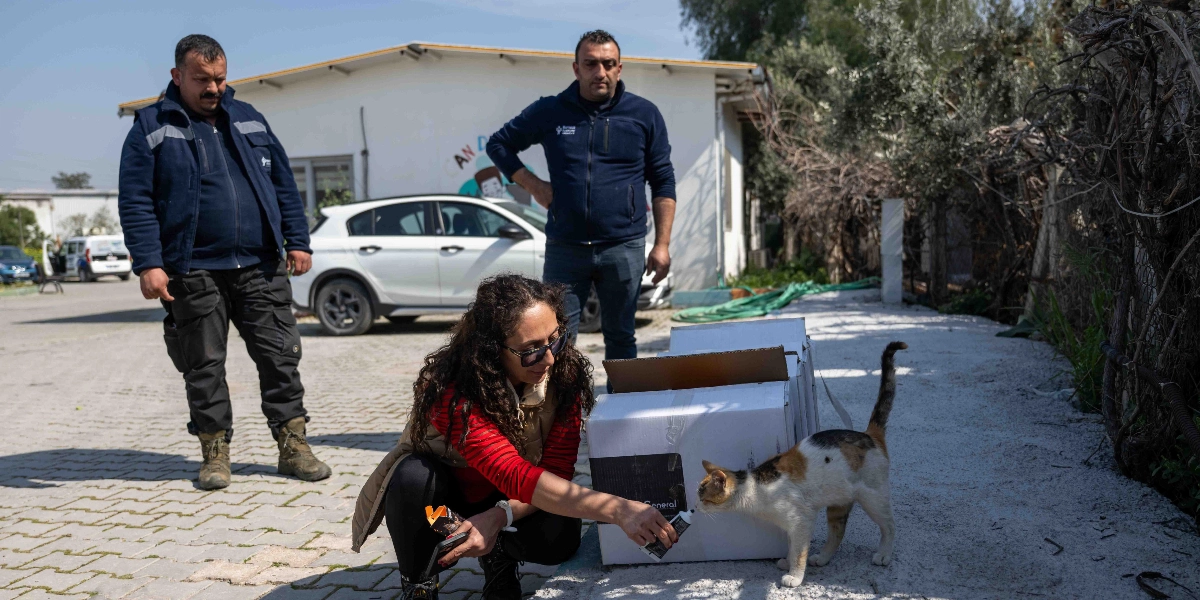 Bornova Belediyesi logolu kıyafetler giymiş iki erkek görevli ayakta dururken, yanlarında çömelmiş bir kadın elindeki tüpten üç renkli bir kediye mama veriyor. Kadının yanında büyük beyaz karton kutular bulunuyor, arka planda ise beyaz bir otomobil ve tek katlı bir yapı yer alıyor.