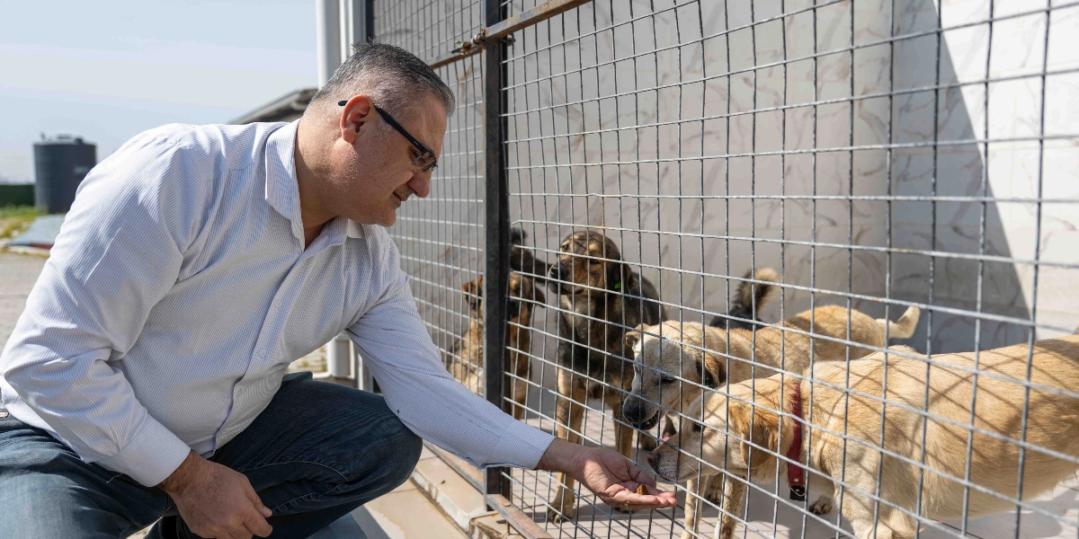 Gözlüklü, beyaz gömlekli bir adam, bir hayvan barınağındaki tel örgülerin önünde çömelmiş, elindeki mamayı tel örgünün arkasındaki köpeklere uzatıyor.
