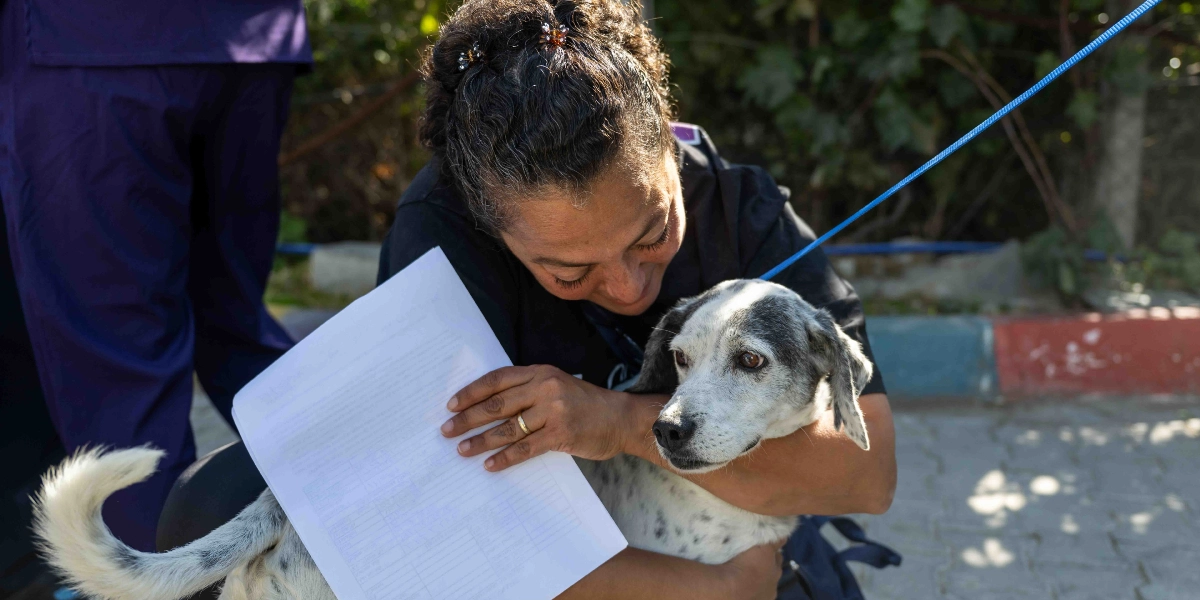 Siyah tişörtlü bir kadın, kucağına aldığı beyaz üzerine siyah benekli köpeğe sevgiyle sarılıyor. Kadın bir elinde sahiplenme belgesi tutarken, diğer eliyle köpeğe sarılıyor. Köpek mavi bir tasmaya bağlı şekilde kadının kucağında sakin bir şekilde duruyor.
