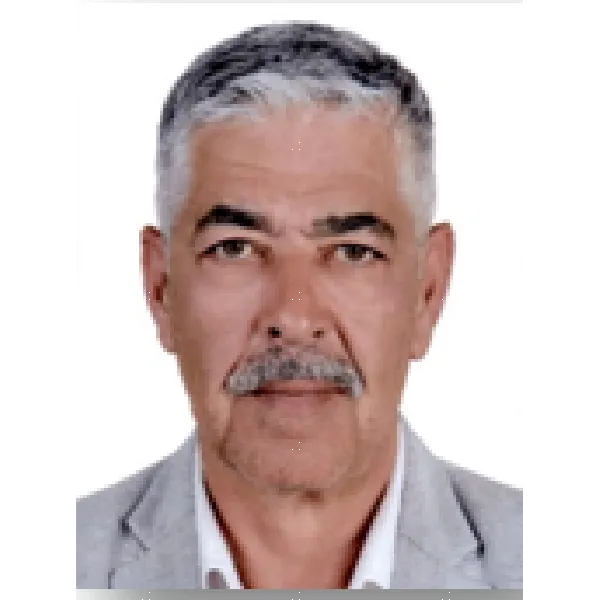 Ali Tek