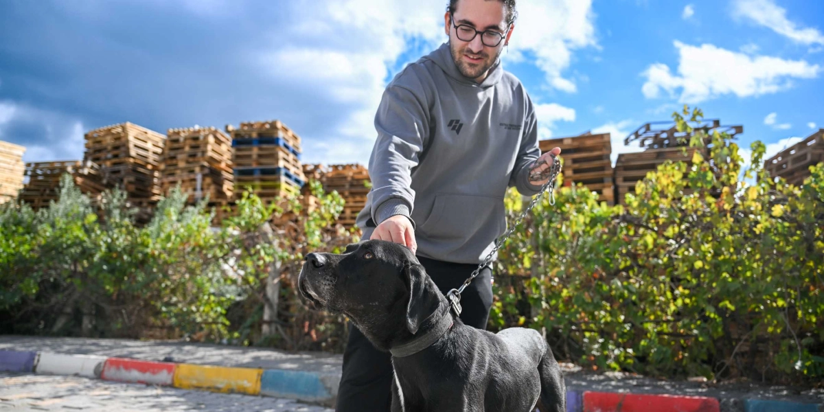 Gözlüklü ve gri kapüşonlu bir genç, zincir tasmalı siyah bir köpeği severken gülümsüyor. Arka planda üst üste dizilmiş ahşap paletler ve yeşil bitkiler bulunuyor.