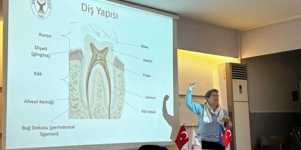 Bir projeksiyon perdesinin önünde duran ve diş yapısını anlatan bir uzman, perde üzerinde dişin anatomik bölümlerini (kuron, dişeti, kök, alveol kemiği, bağ dokusu, mine, dentin, pulpa, sement ve kök kanalı) gösteren bir şema yer alıyor. Uzman, sağ elini havaya kaldırarak sunumuna devam ediyor; masanın üzerinde ise Türk bayrakları bulunuyor.