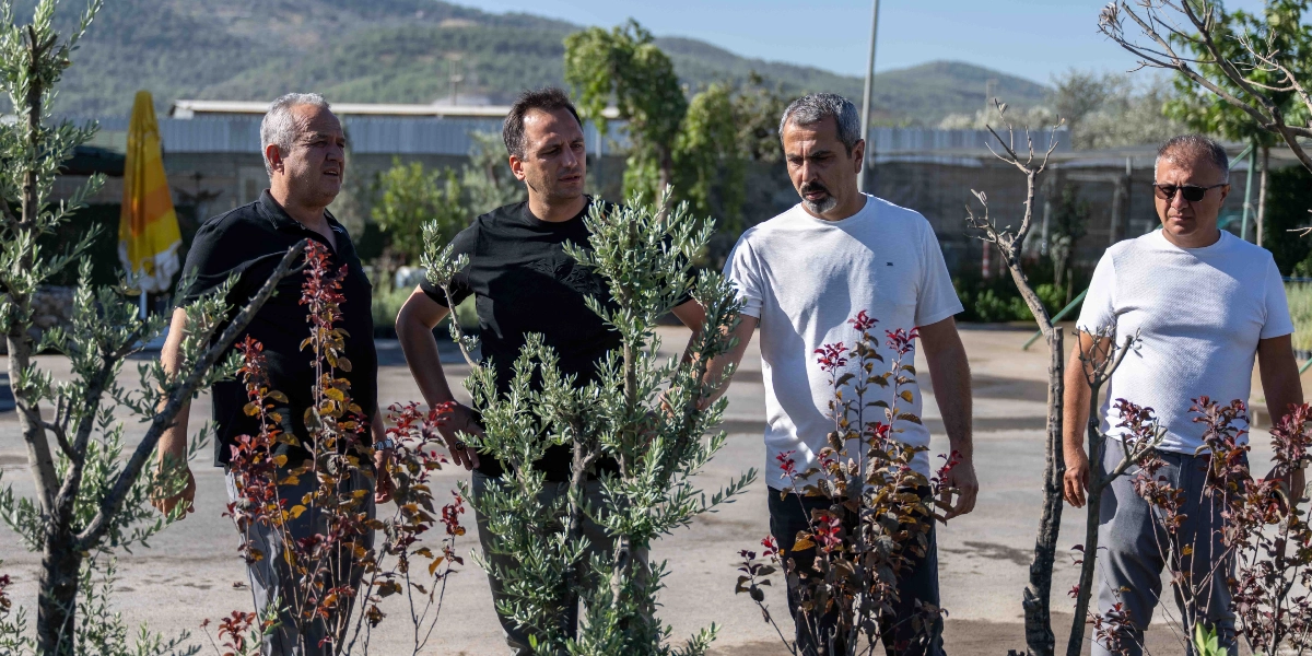 Açık havada, fidanlık veya bahçe benzeri bir alanda yan yana duran dört erkek, yeni dikilmiş genç ağaçları ve bitkileri inceliyor. Soldan sağa doğru, siyah polo yaka tişörtlü, siyah tişörtlü, beyaz tişörtlü ve güneş gözlüklü beyaz tişörtlü dört kişi, dikkatle çevrelerine bakarak bahçe düzenlemesini değerlendiriyor. Arka planda ise ağaçlar, çitler ve tepelik bir arazi görülüyor.