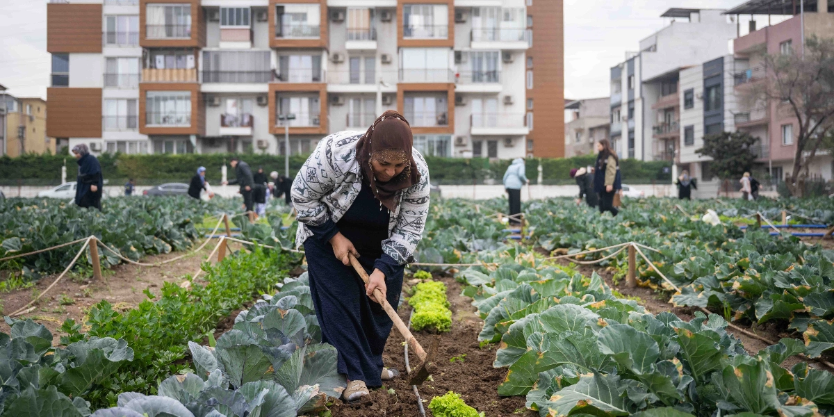 Şehir merkezindeki bir bostanda, başörtülü bir kadın elindeki çapa ile toprakla uğraşırken, arka planda diğer insanlar hasat yapıyor. Bostan sıraları arasında yeşil yapraklı sebzeler yetişiyor ve çevrede çok katlı apartmanlar görünüyor.