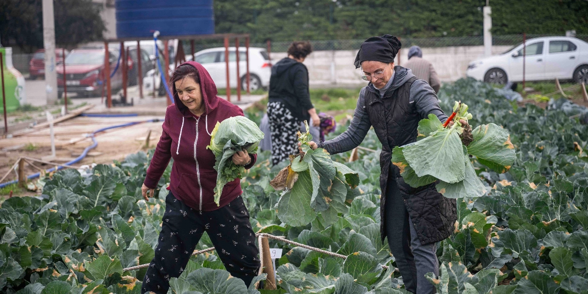 Bornova'daki bir kent bostanında hasat yapan kadınlar, ellerinde yeni topladıkları taze lahanalarla sebze sıraları arasında yürüyor. Ön planda kapüşonlu sweatshirt giyen bir kadın ile siyah yelekli ve başörtülü bir diğer kadın gülümseyerek hasat ettikleri ürünleri gösteriyor. Arka planda ise bostanda çalışmaya devam eden diğer kişiler ve park halindeki araçlar görülüyor.