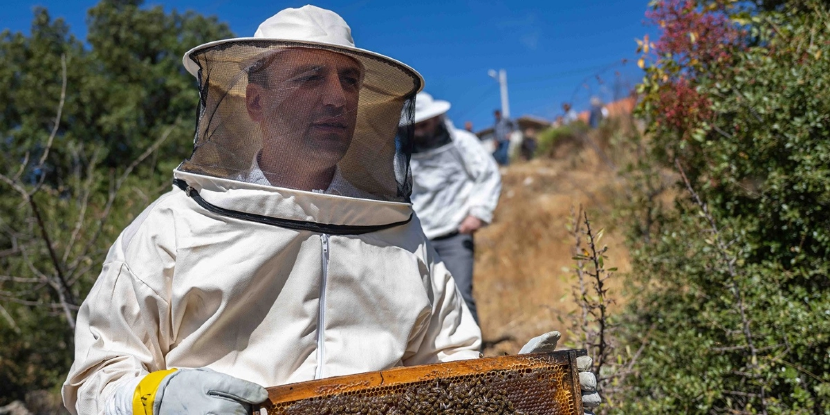 Arıcılık kıyafeti ve koruyucu maske giymiş bir kişi, elinde arılarla dolu bir petek çerçevesi tutuyor. Arka planda ise benzer kıyafetli başka bir kişi ve ağaçlık bir arazi görülüyor.