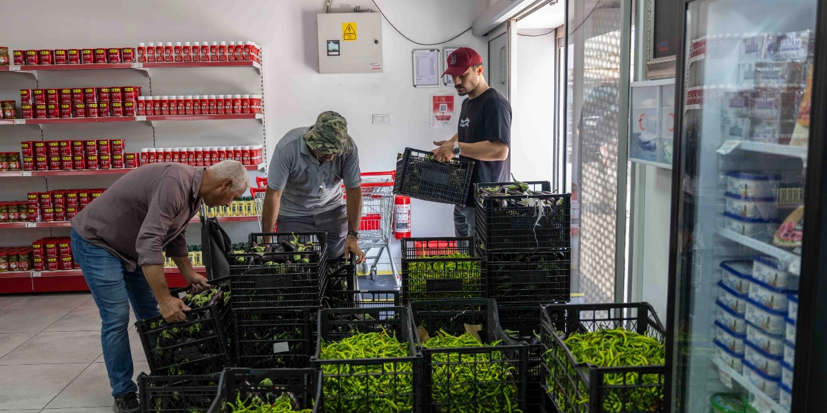 Üç erkek çalışan, bir marketin içinde taze sebzelerle dolu plastik kasaları yerleştiriyor. Sol taraftaki raflarda kırmızı etiketli konserve ürünler diziliyken, çalışanlar önlerindeki kasalara patlıcan ve yeşil biberleri düzenliyor. Sağ tarafta ise cam kapaklı bir soğutucu dolap bulunuyor.