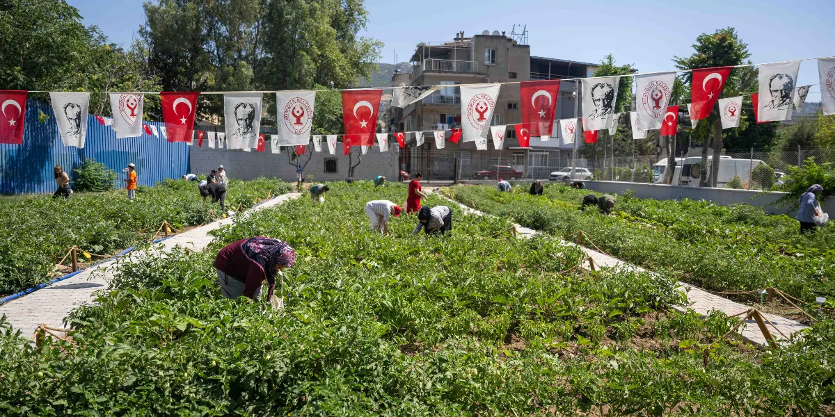 Bornova Belediyesi'ne ait bir bostanda, aralarında kadınların da bulunduğu bir grup insan sebze fidelerinin arasında çalışıyor. Bostanın üzerinde Türk bayrakları, Atatürk portreli flamalar ve Bornova Belediyesi logolu bayrakların asılı olduğu ipler uzanıyor. Arka planda binaların ve ağaçların görüldüğü güneşli bir günde, tarım alanında hasat veya bakım çalışması yapılıyor.